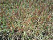 贵州省,黔东南州,黎平县,永从乡,豆洞村