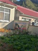 河北省,秦皇岛市,青龙县,娄杖子镇,前牛山村