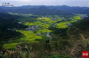 甘肃省,天水市,秦州区,藉口镇,寨柯村