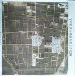 山东省,泰安市,宁阳县,伏山镇,前石梁村