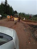 湖南省,永州市,蓝山县,新圩镇,龙家坊村