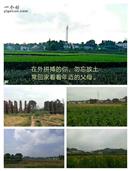 湖南省,衡阳市,衡阳县,栏垅乡,白水村