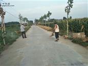 山东省,泰安市,宁阳县,伏山镇,前石梁村