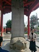 山东省,泰安市,宁阳县,伏山镇,前石梁村