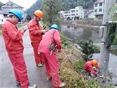 浙江省,丽水市,莲都区,雅溪镇,金竹村