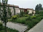 山东省,泰安市,宁阳县,伏山镇,前石梁村