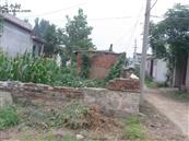 山东省,泰安市,宁阳县,伏山镇,前石梁村