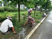 山东省,泰安市,宁阳县,伏山镇,前石梁村