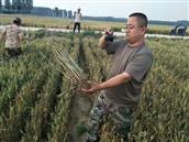 山东省,泰安市,宁阳县,伏山镇,前石梁村