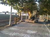 山东省,泰安市,宁阳县,伏山镇,前石梁村