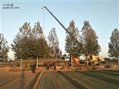 山东省,泰安市,宁阳县,伏山镇,前石梁村