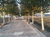 山东省,泰安市,宁阳县,伏山镇,前石梁村