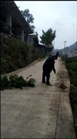 红花村 富裕组:清扫马路