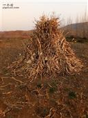 山东省,临沂市,沂水县,沙沟镇,侯家官庄村