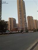 安徽省,淮南市,潘集区,田集街道,杨田社区