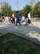 安徽省,淮南市,潘集区,田集街道,杨田社区