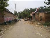 靳楼村 以前整洁有序的村庄，变得杂乱不堪