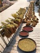 贵州省,黔东南州,黎平县,永从乡,豆洞村