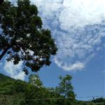 陕西省,安康市,汉滨区,新坝镇,马泥村