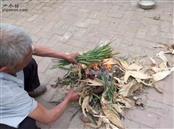 山东省,滨州市,惠民县,石庙镇,刘家堡村