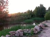 山东省,滨州市,惠民县,石庙镇,刘家堡村