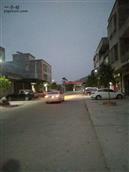 广东省,云浮市,罗定市,太平镇,古龙村