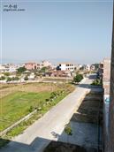 广东省,云浮市,罗定市,太平镇,古龙村