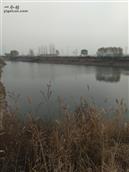 山东省,滨州市,惠民县,石庙镇,王角村
