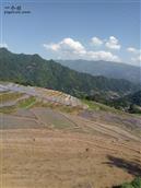 牛头村 大坪头梯田景