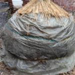 湖南省,永州市,蓝山县,新圩镇,龙家坊村