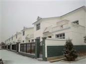 甘肃省,天水市,甘谷县,新兴镇,雒家村