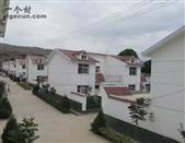 甘肃省,天水市,甘谷县,新兴镇,雒家村