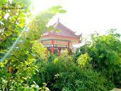 甘肃省,天水市,甘谷县,新兴镇,雒家村