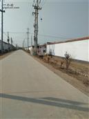 山东省,滨州市,惠民县,石庙镇,王角村