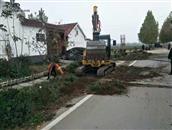 山东省,泰安市,宁阳县,伏山镇,前石梁村