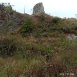 湖南省,永州市,蓝山县,新圩镇,龙家坊村