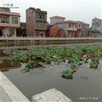 湖南省,永州市,蓝山县,新圩镇,龙家坊村