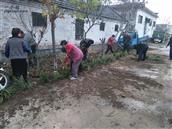 山东省,泰安市,宁阳县,伏山镇,前石梁村