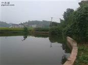 湖南省,衡阳市,衡阳县,栏垅乡,白水村