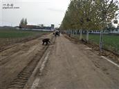 山东省,泰安市,宁阳县,伏山镇,前石梁村