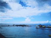 广东省,湛江市,吴川市,王村港镇,王村港村