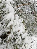 山东省,临沂市,沂水县,沙沟镇,侯家官庄村