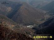 河南省,南阳市,淅川县,寺湾镇,柳林沟村