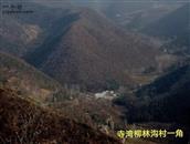 河南省,南阳市,淅川县,寺湾镇,柳林沟村