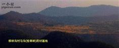 河南省,南阳市,淅川县,寺湾镇,柳林沟村