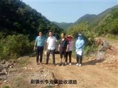 河南省,南阳市,淅川县,寺湾镇,柳林沟村