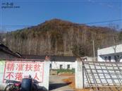 河南省,南阳市,淅川县,寺湾镇,柳林沟村