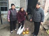 山东省,泰安市,宁阳县,伏山镇,前石梁村