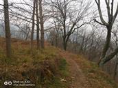 陕西省,汉中市,宁强县,阳平关镇,回民沟村