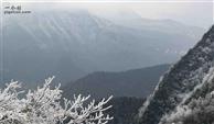 重庆市,南川区,金山镇,龙山村